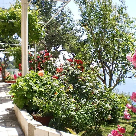 Apartmants Smodlaka Lejlighed Dubrovnik